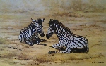 african children zebra
