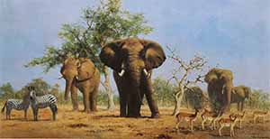 david shepherd african landscape elephants print