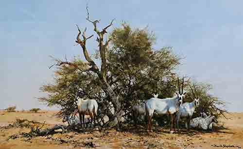 david shepherd arabian oryx print