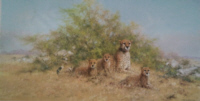 david shepherd cheetah family in the serengeti print