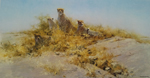david shepherd Cheetahs of Namibia print