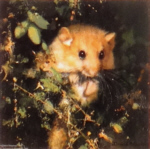 david shepherd mouse, mice prints