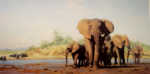 david shepherd evening in africa elephants print