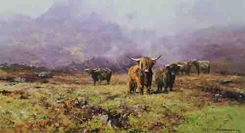 david shepherd highland cattle print