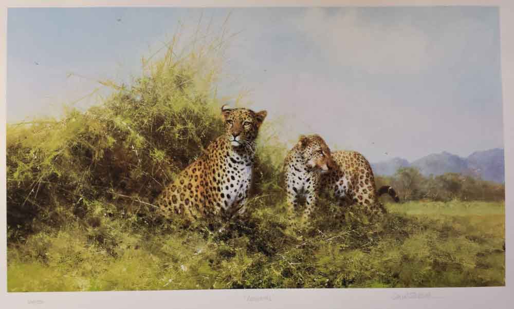 david shepherd leopards silkscreen