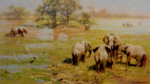 david shepherd mothers meeting elephants print
