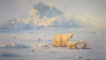 david shepherd polar bear country, print