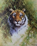 david shepherd portrait of a tiger silkscreen print