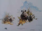david shepherd black rhinoceros sappi print