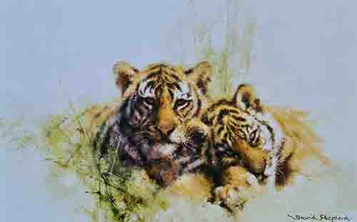 david shepherd tiger cubs print