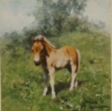 david shepherd Horses print
