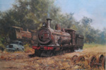 david shepherd, Zambezi sawmills railway, steam trains