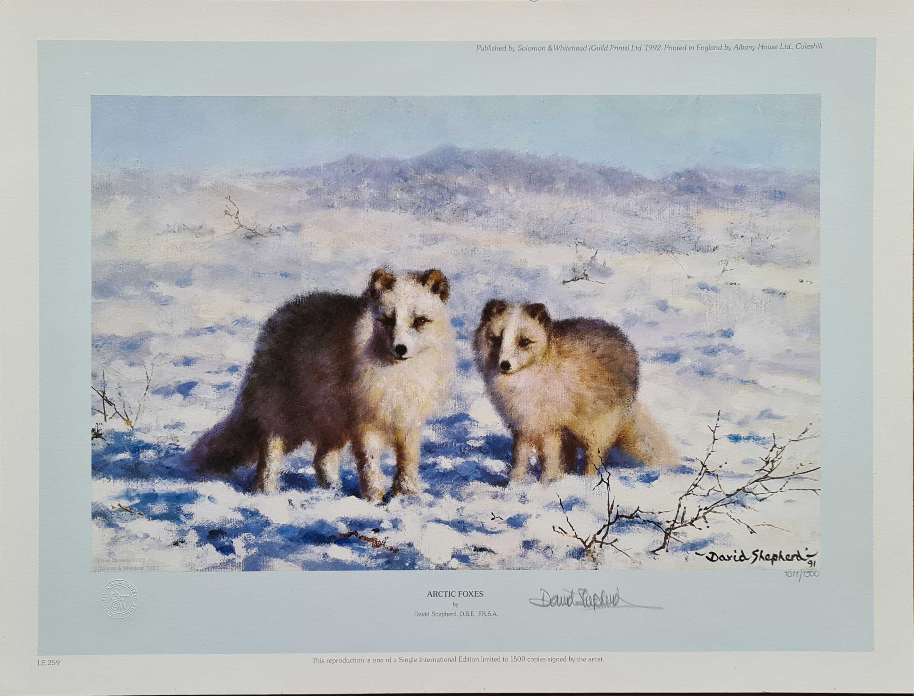 david shepherd arctic foxes print