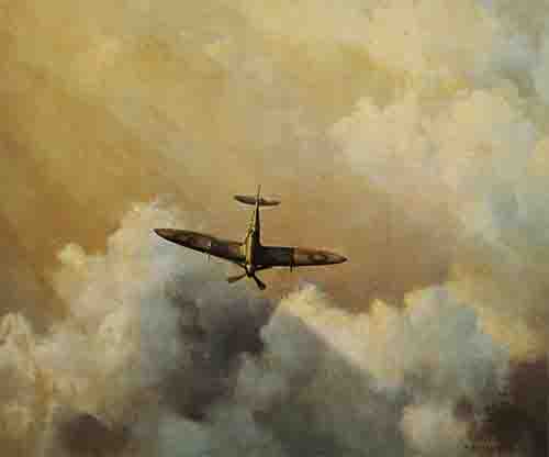immortal hero spitfire David Shepherd, aviation, signed limited edition prints