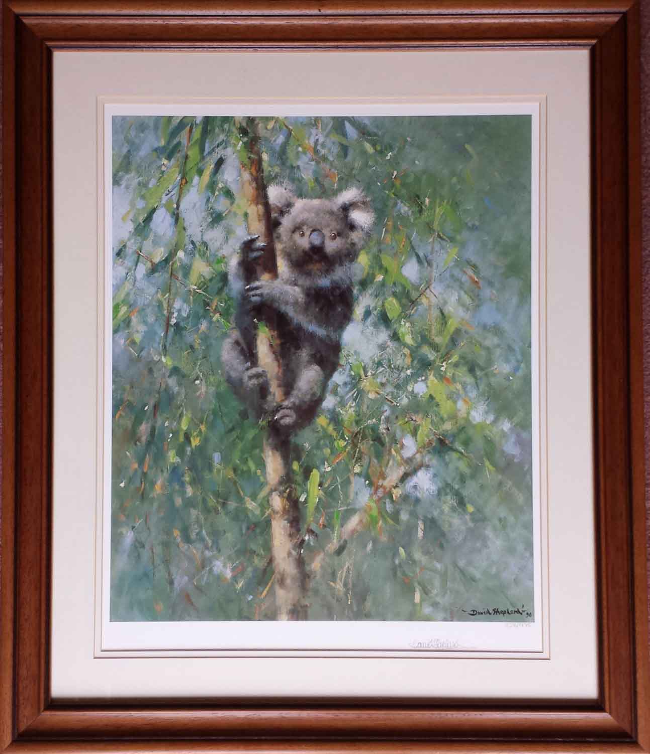 David Shepherd Koala, signed, limited edition, prints