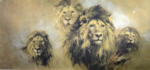 david shepherd, Lion Majesty, print