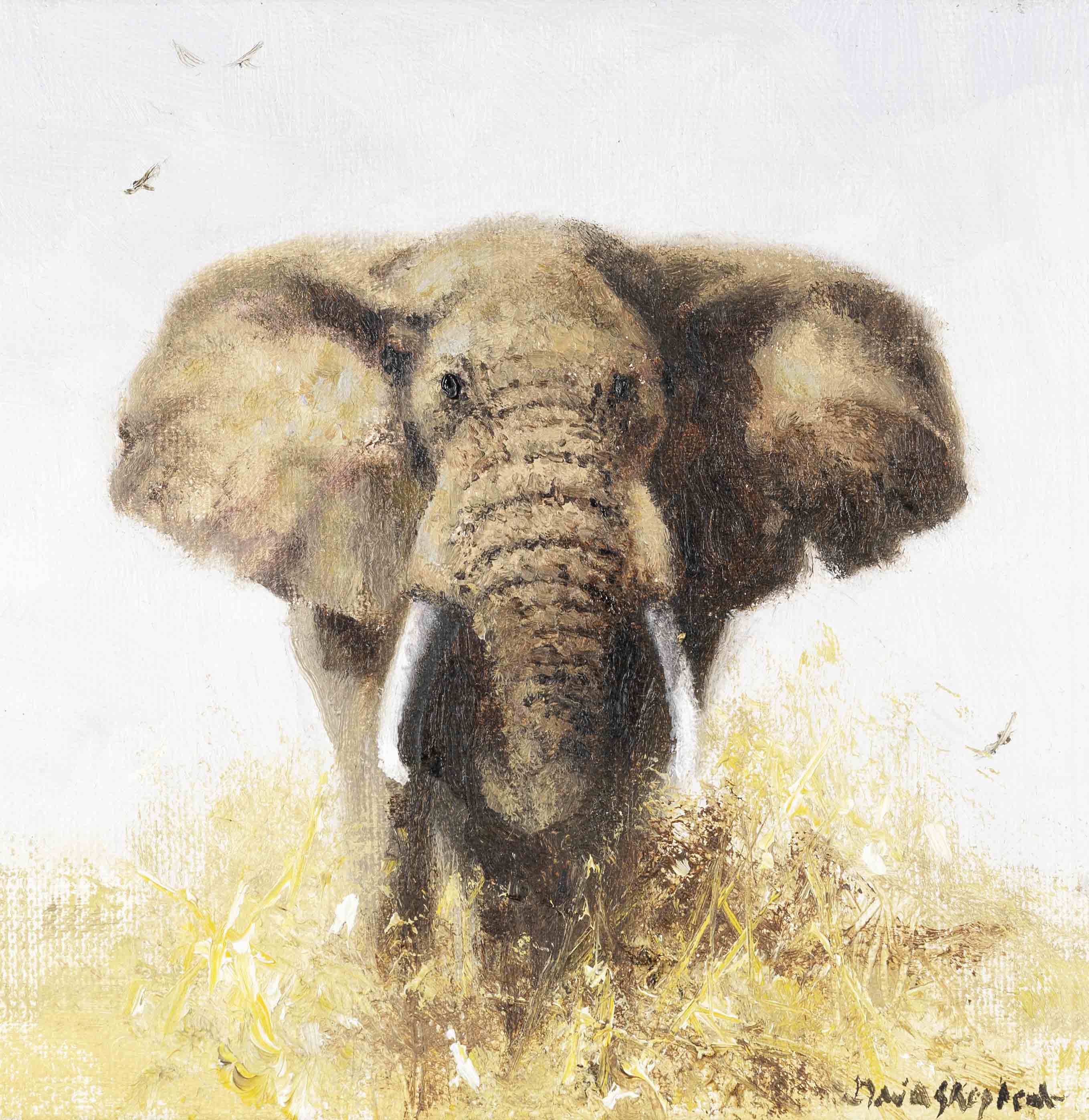 davidshepherd-original-elephant7, original