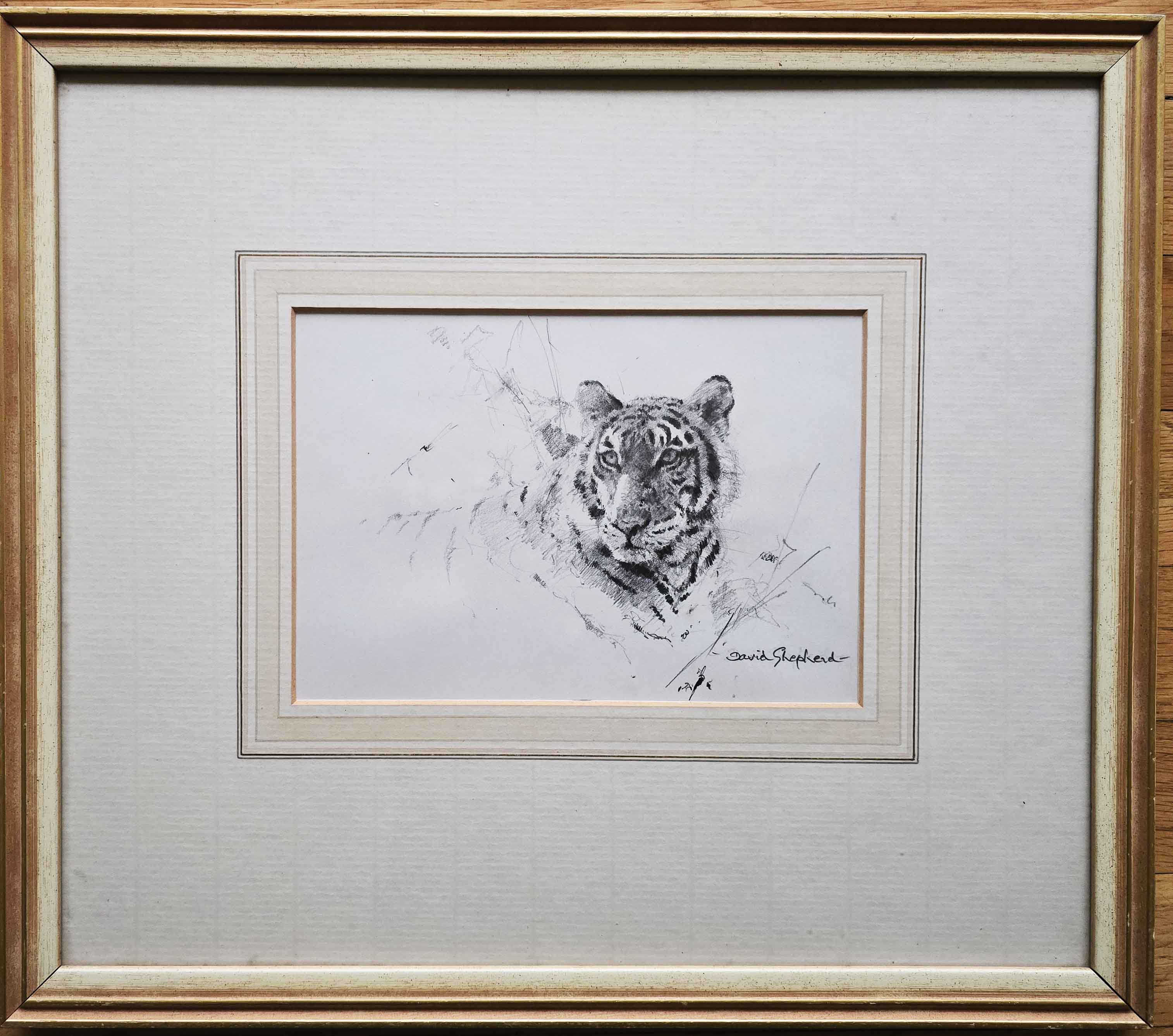 david shepherd original, tiger's head, dawing