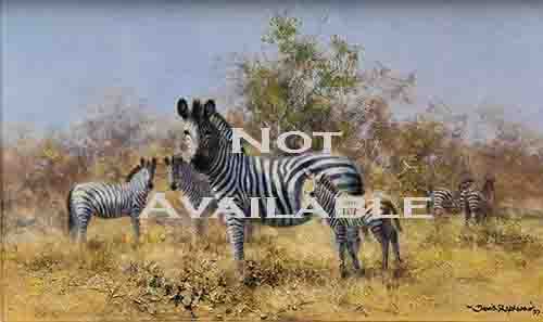 david shepherd, painting zebra