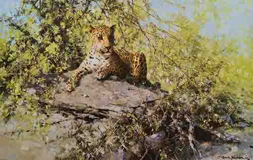 david shepherd sentinel leopard print