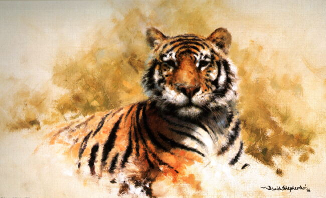 David Shepherd signed, limited edition, prints, tiger sketch 1987 ...